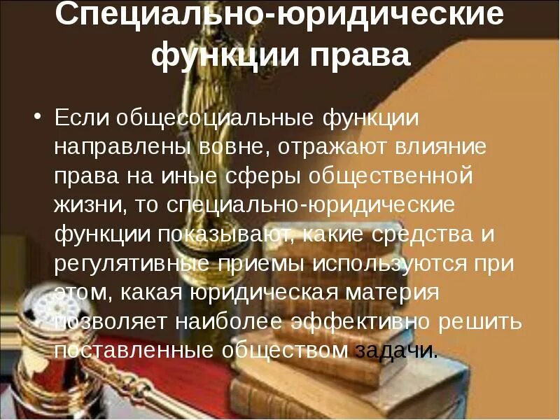 Правовая функция заказа. Специально-юридические функции.