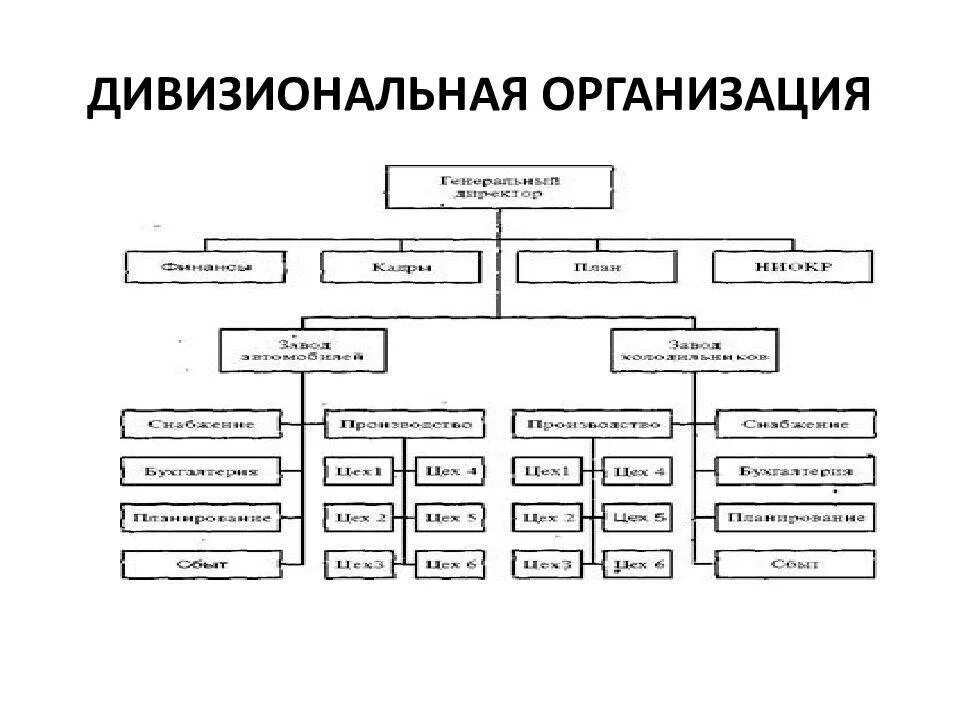 органические организационные структуры управления. дивизиональная (дивизионная) организационная структура. выберите признаки органической структуры управления. типы организации структуры управления предприятием. матричная организационная структура менеджмент.
