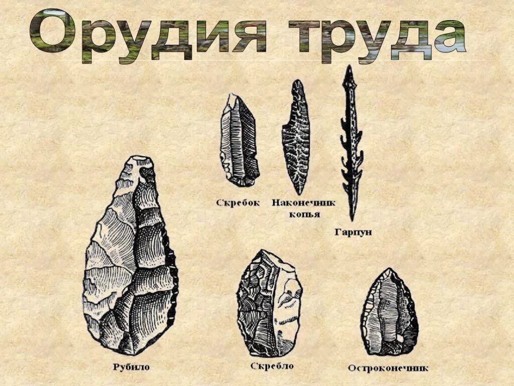 Использовали природные орудия