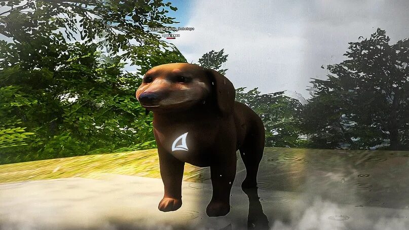 Кака кака кака пук. Пук собаки. Пуки каки. Пуки каки. Пук мем.