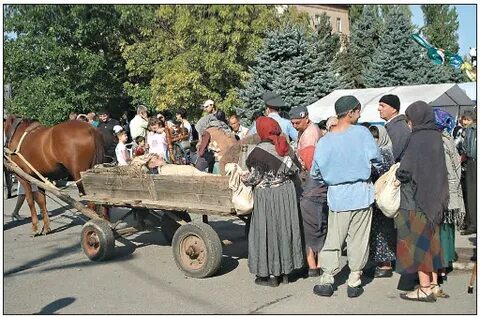 245 переселения армян на дон