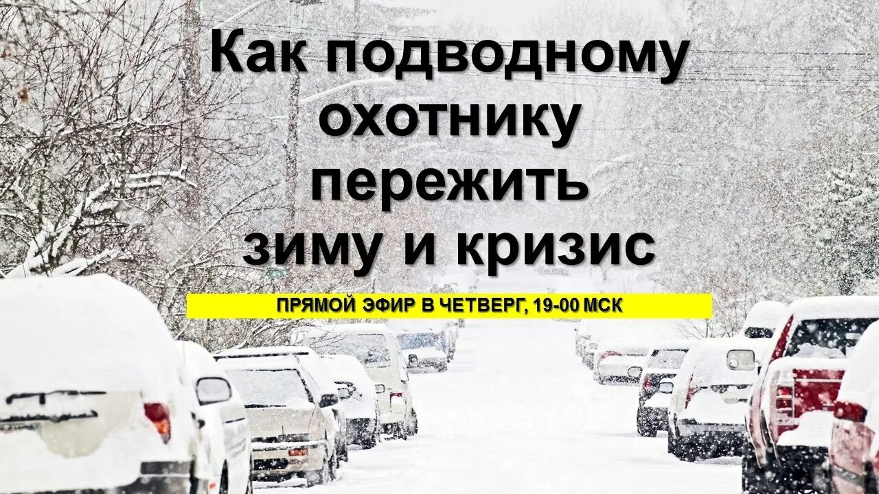 Как пережить эту зиму. Как пережить эту зиму