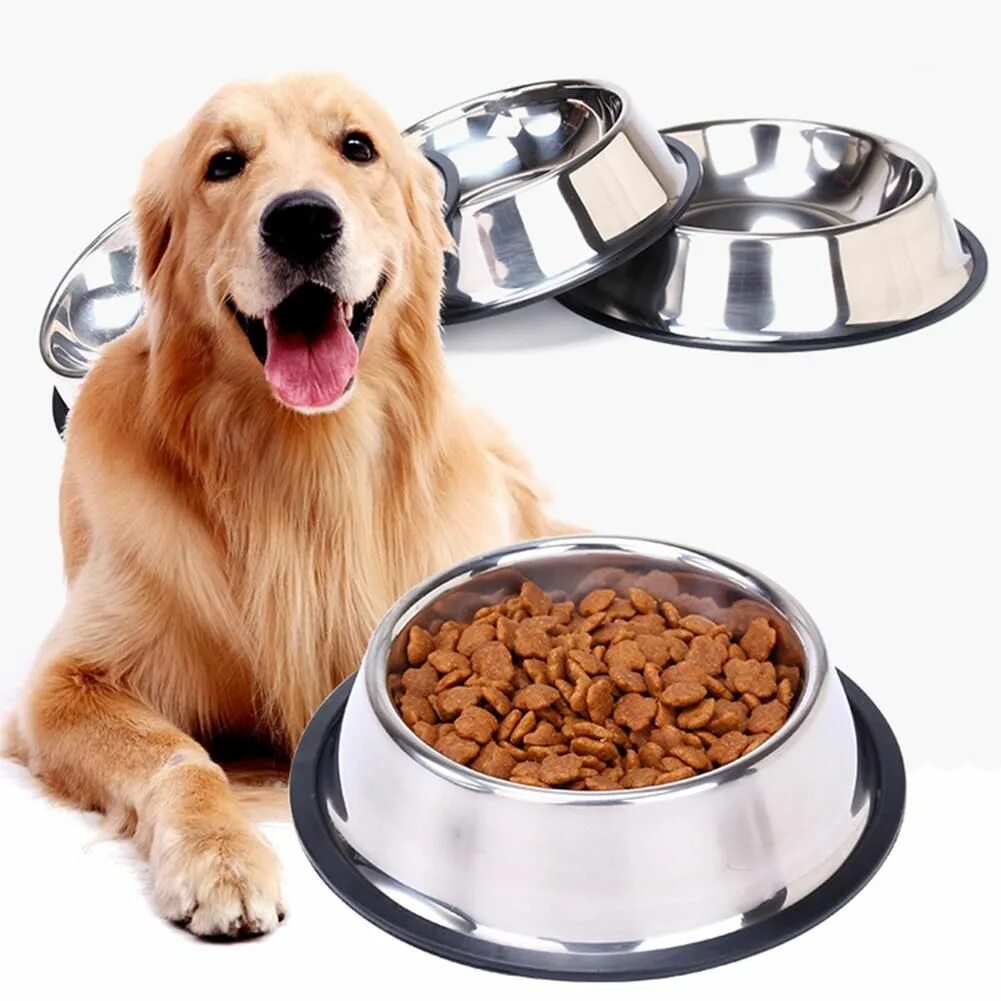 Тарелка для собак. Миски для собак переносные. Dog bowl transparent. Собачья миска с едой. Dog bowl.