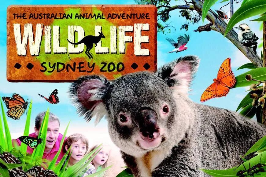 Приключения животных. Вайлд лайф парк Сидней. World animal Adventure. Animal Adventure надпись. Текст Sydney Wildlife is an Australian Zoo.