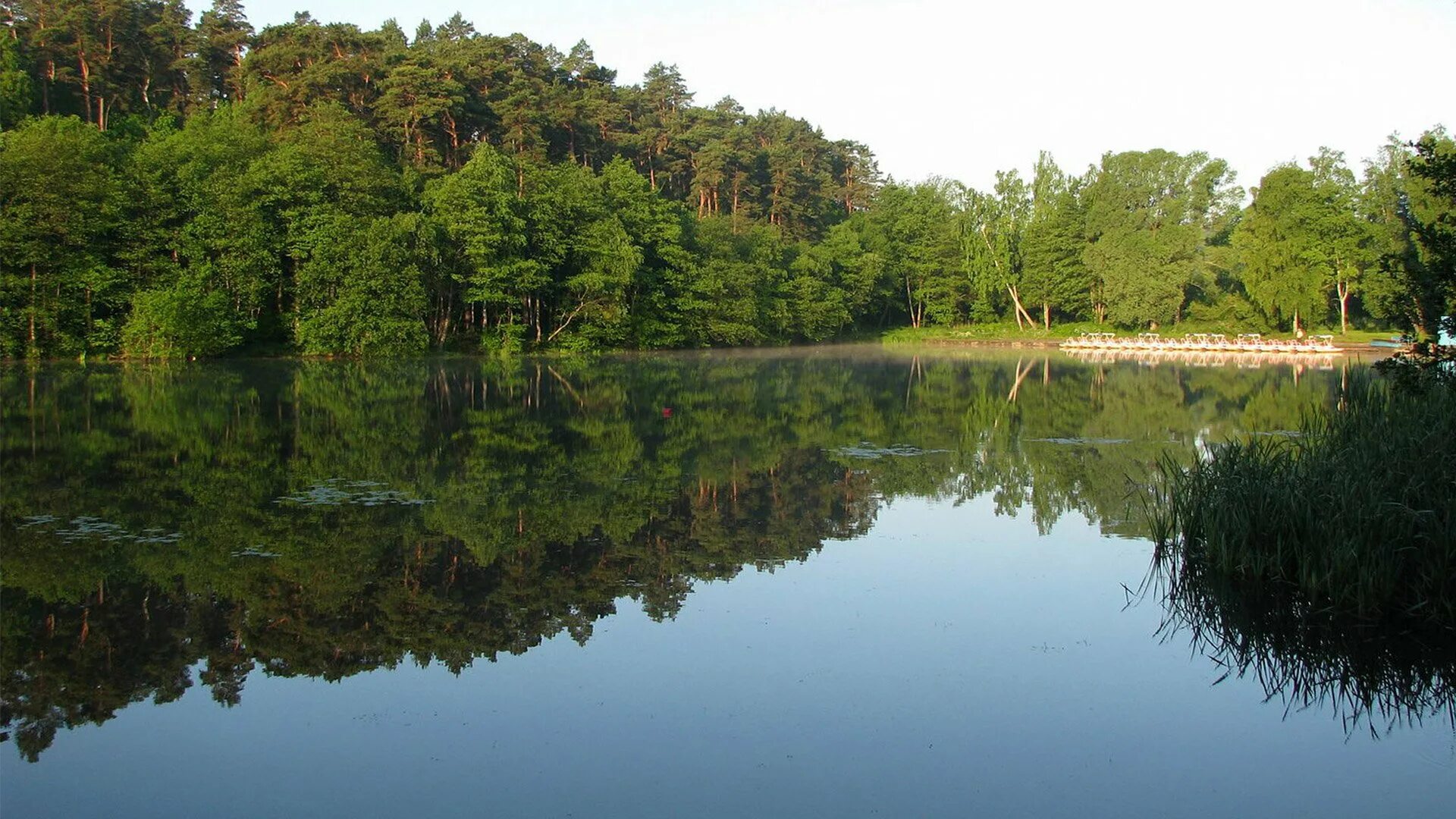 озеро тихое светлогорск. светлогорск пруд. а зоре тихое. озеро тихое светлогорск. а зоре тихое.