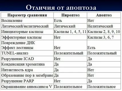 Виды некроза таблица