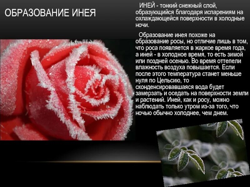 Как образуется роса иней дождь. Как образуется роса иней дождь