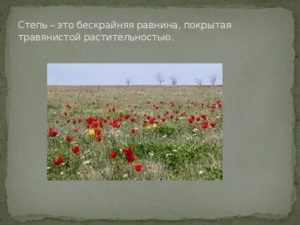 В степи встречается