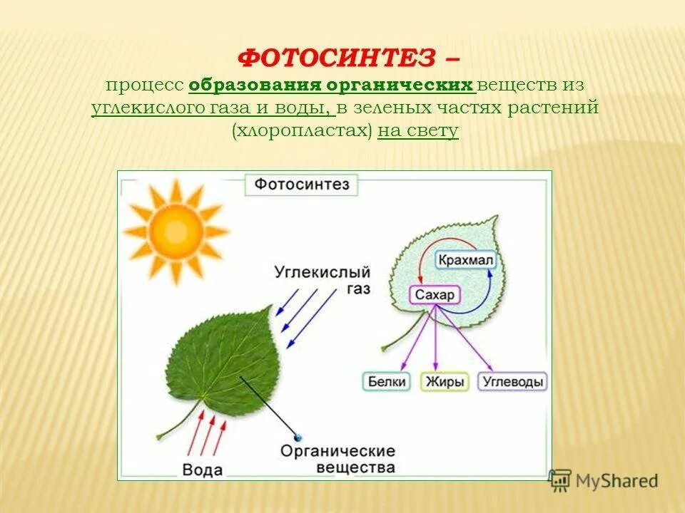 При дыхании растений образуются органические вещества. Схема фотосинтеза 6. Схема фотосинтеза 6 класс биология. Фото Синтез биология 6 кл. Фотосинтез процесс образования органических веществ из.