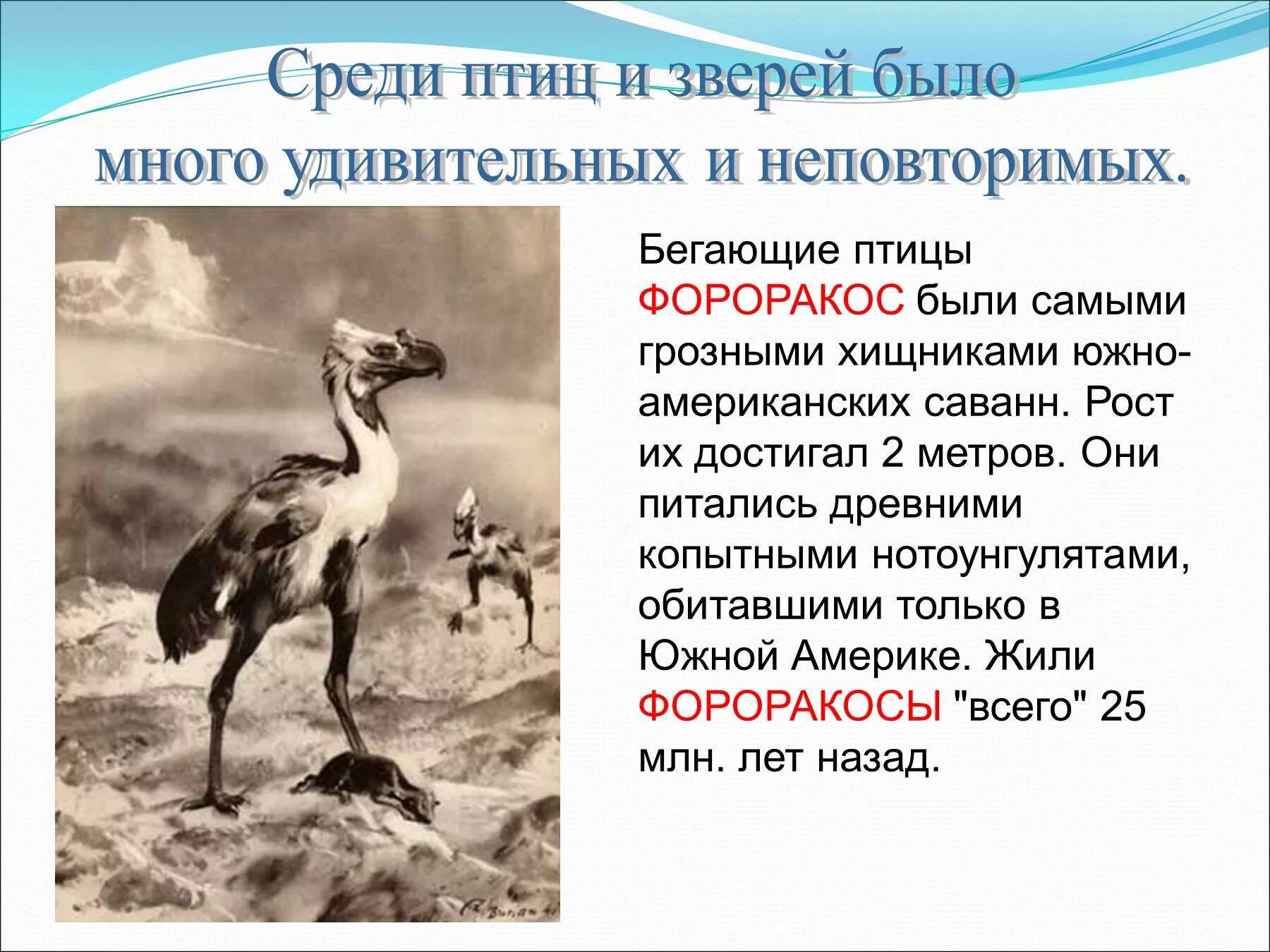 Сообщение о древнем животном. Древние животные земли презентация. доклад о древних животных. древние животные земли хищники презентация. сообщение о древних животных земли.
