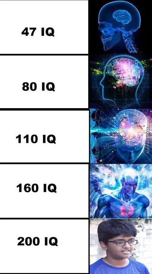 Айкью 200. IQ Мем. Мозг Мем. Мемы для людей с 200 IQ. 200 IQ Мем.