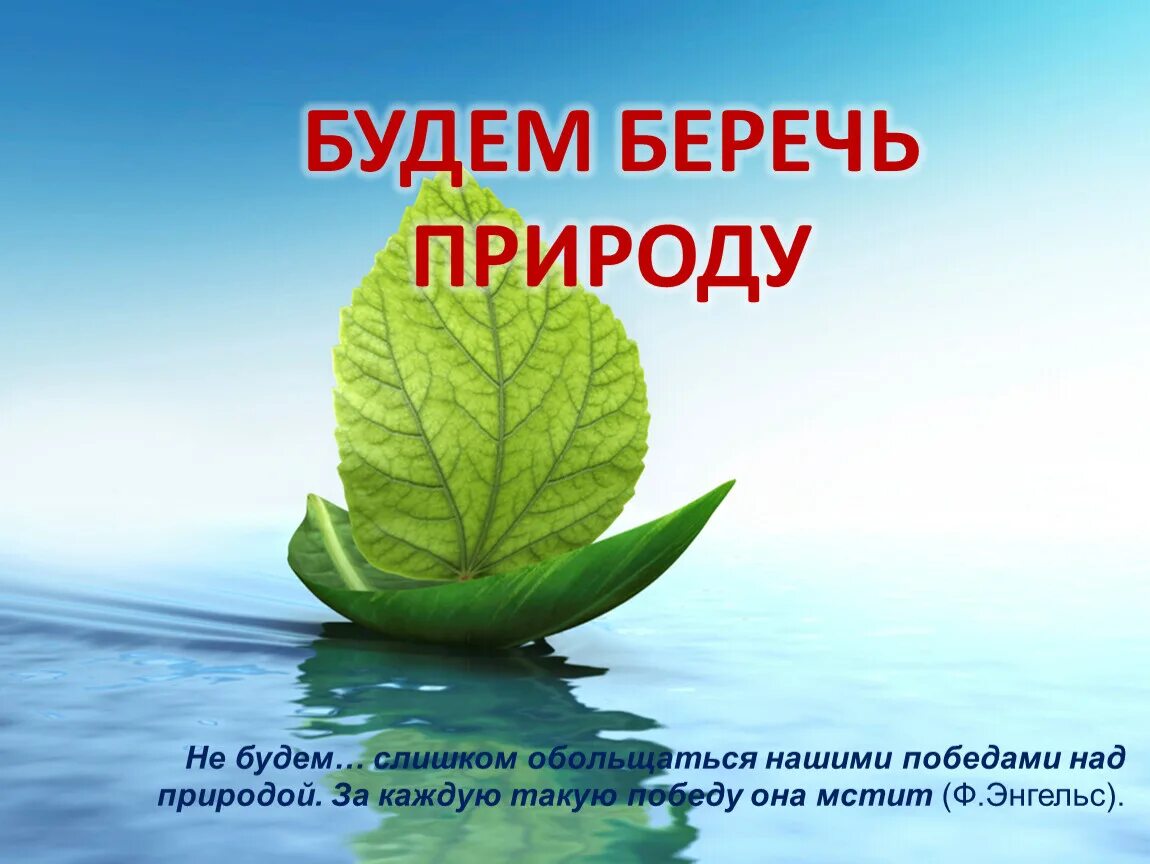 Беречь природу примеры. Берегите природу. Презентация на тему берегите природу. Доклад на тему береги природу. Береги природу презентация.