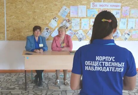 Что делает общественный наблюдатель на выборах