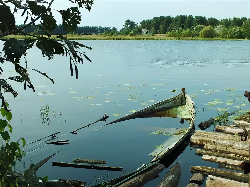 Плавающая дерево. Плавающее дерево. челмужи. бревно в воде. затопленный катер зеленохолмское озеро.