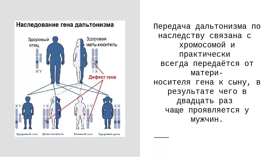 Гены детей от первого мужчины. Дальтонизм Тип наследования аутосомно. Дальтонизм генетика Тип наследования. Дальтонизм передается по наследству от отца. Схема наследования дальтонизма.