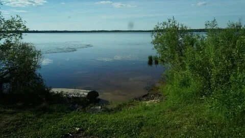 Салым курган