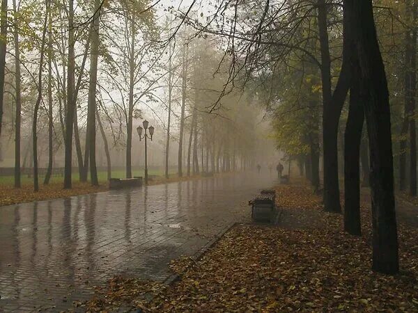 Холодная осень серый. Пасмурная осень в городе. Серая осень. Серая осень город. Серая осень в России.