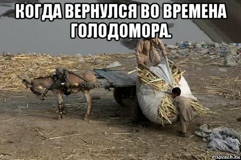 Вернулись вовремя