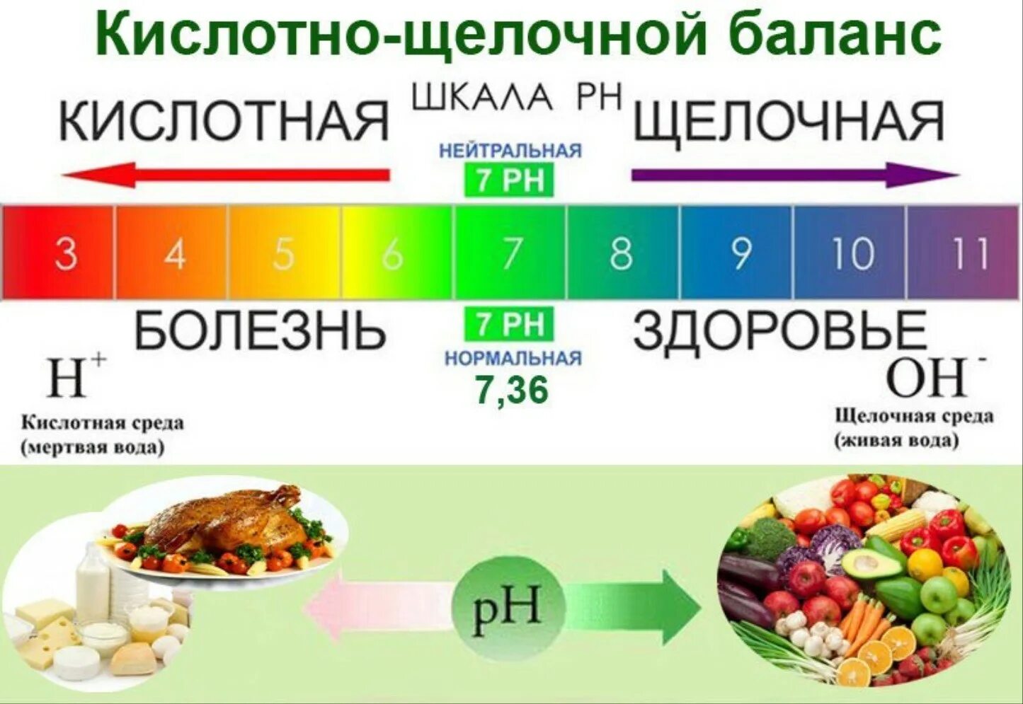 Кислотно-щелочной баланс шкала PH. Кислотно-щелочной баланс организма (PH). Кислая и щелочная среда в организме человека. Ощелачивание организма продукты таблица. Кислотность химических элементов