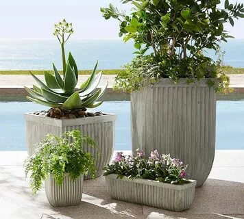 Only plants