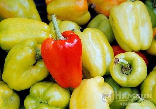 Есть болгарский перец. Capsicum annuum сладкий перец. Есть болгарский перец. Разрезанный перец. Перец красный сладкий.