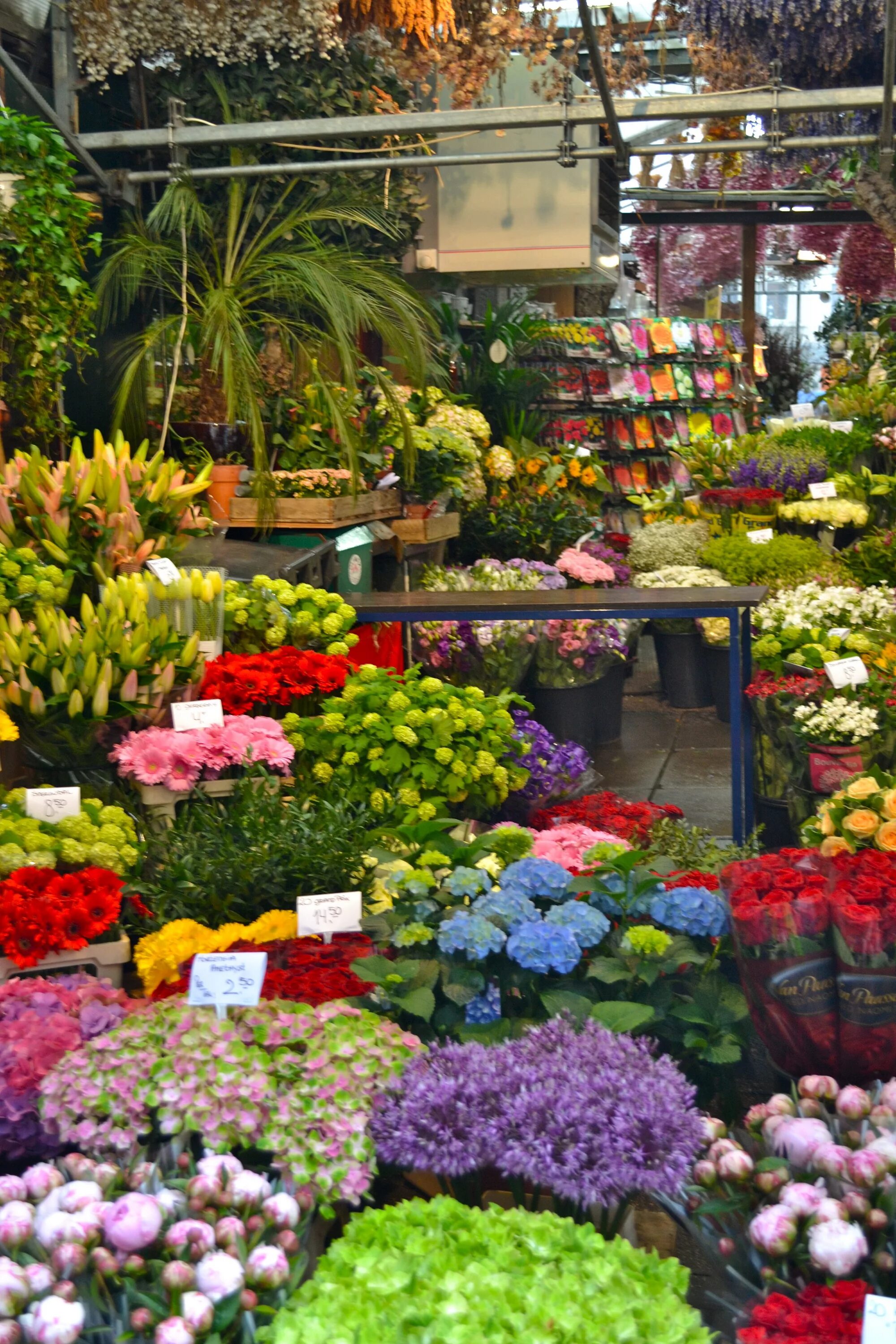 Цветочный рынок "bloemenmarkt". Магазин цветов голландия. Цветочные магазины в голландии. Амстердам плавучий цвеиочный ранок. Цветочный рынок в амстердаме.