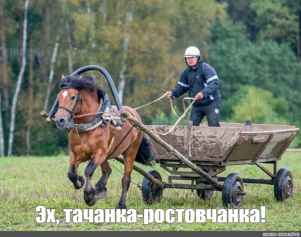 Суки в телеге. Телега с лошадью. Рабочая телега для лошади. Рабочая лошадка. Оглобля телеги.