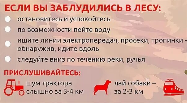 Если вы заблудились в лесу. Памятка если вы заблудились в лесу. Памятка заблудившемуся в лесу. Алгоритм действий если вы заблудились в лесу. Памятка если ты заблудился васюткино озеро