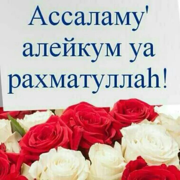 Салам алейкум баракату. Саляму алейкум. Ассаламу алейкум картинки. Алейкум АС Салам уа РАХМАТУЛЛАХИ уа баракатух. Ассаламу алейкум надпись.