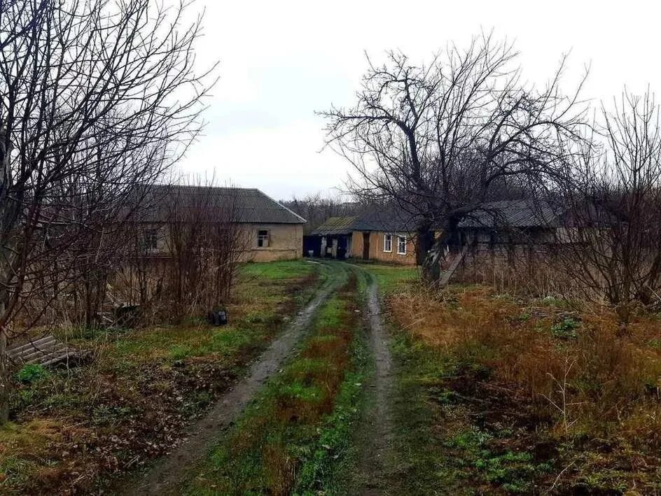 Воронежская область Рамонский район с.Верейка. Большая Верейка Воронеж. Б Верейка Рамонского района.