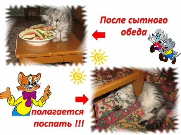 После плотного обеда по закону архимеда. После вкусного обеда полагается поспать. после вкусного обеда. после сытного обеда. после сытного обеда по закону архимеда.