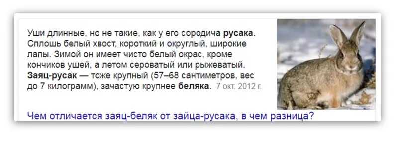 Различия зайцев беляк и русак. Сходство зайца беляка и русака 2 класс. Сходство зайца беляка и зайца русака зеленые страницы. Книга зеленые страницы Беляк и Русак. Заяц-Беляк и заяц-Русак сходства и различия.