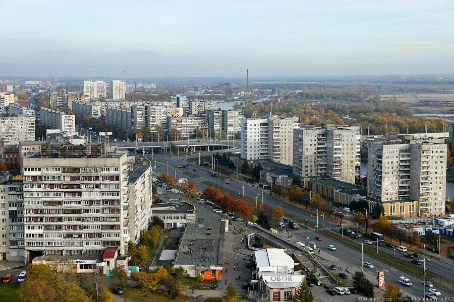 Калининград московский пр. Московский проспект Калининград. Московский район город Калининград. Калининград Московский проспект фото. Невар.