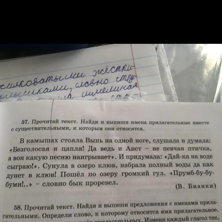 Выпишите из текста относительное прилагательное