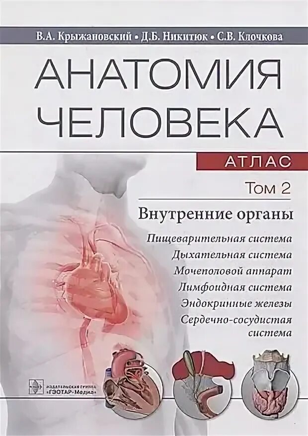 Анатомия человека сапин 2 том. Клочкова анатомия. Анатомия человека сапин структура человеческого тела. , атлас анатомии человека для стоматологов. Сапин анатомия человека.