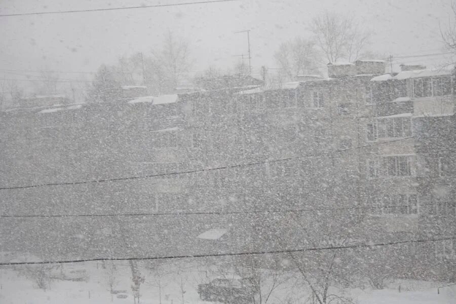 Метель за окном. Пурга за окном. Метель в городе. Пурга из окна.