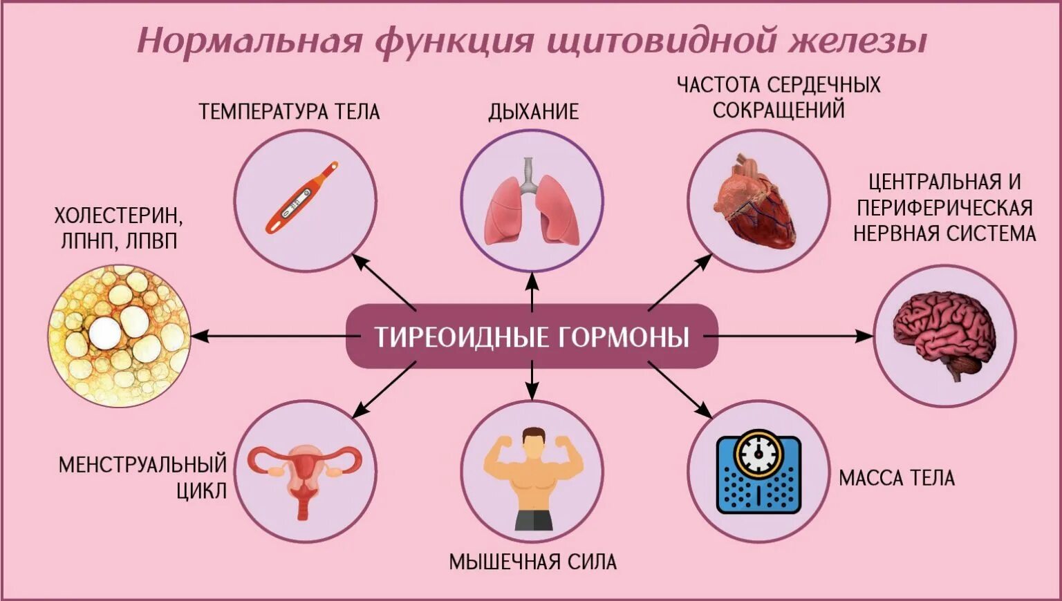 Профилактика заболеваний щитовидной железы. Памятки по профилактике заболеваний щитовидной железы. Профилактика щитовидной железы беседа. Щитовидная железа функции гипотиреоз.