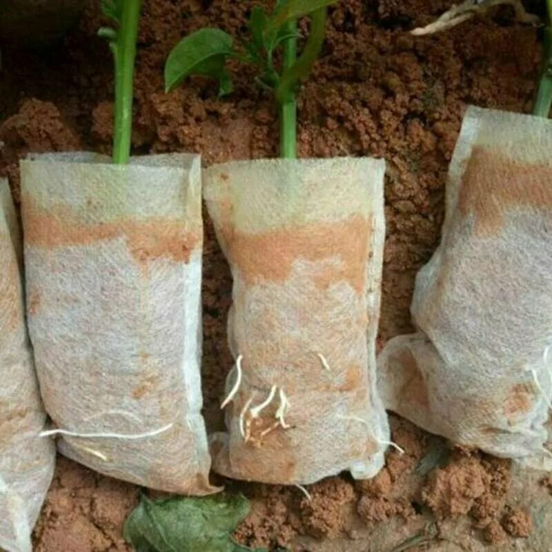 горшки для рассады. биоразлагаемые мешочки для рассады. биоразлагаемые мешки для рассады. биоразлагаемые мешочки для рассады. горшки из нетканого материала.