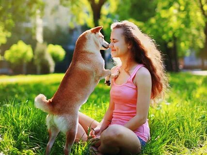 Собака играет с женщиной