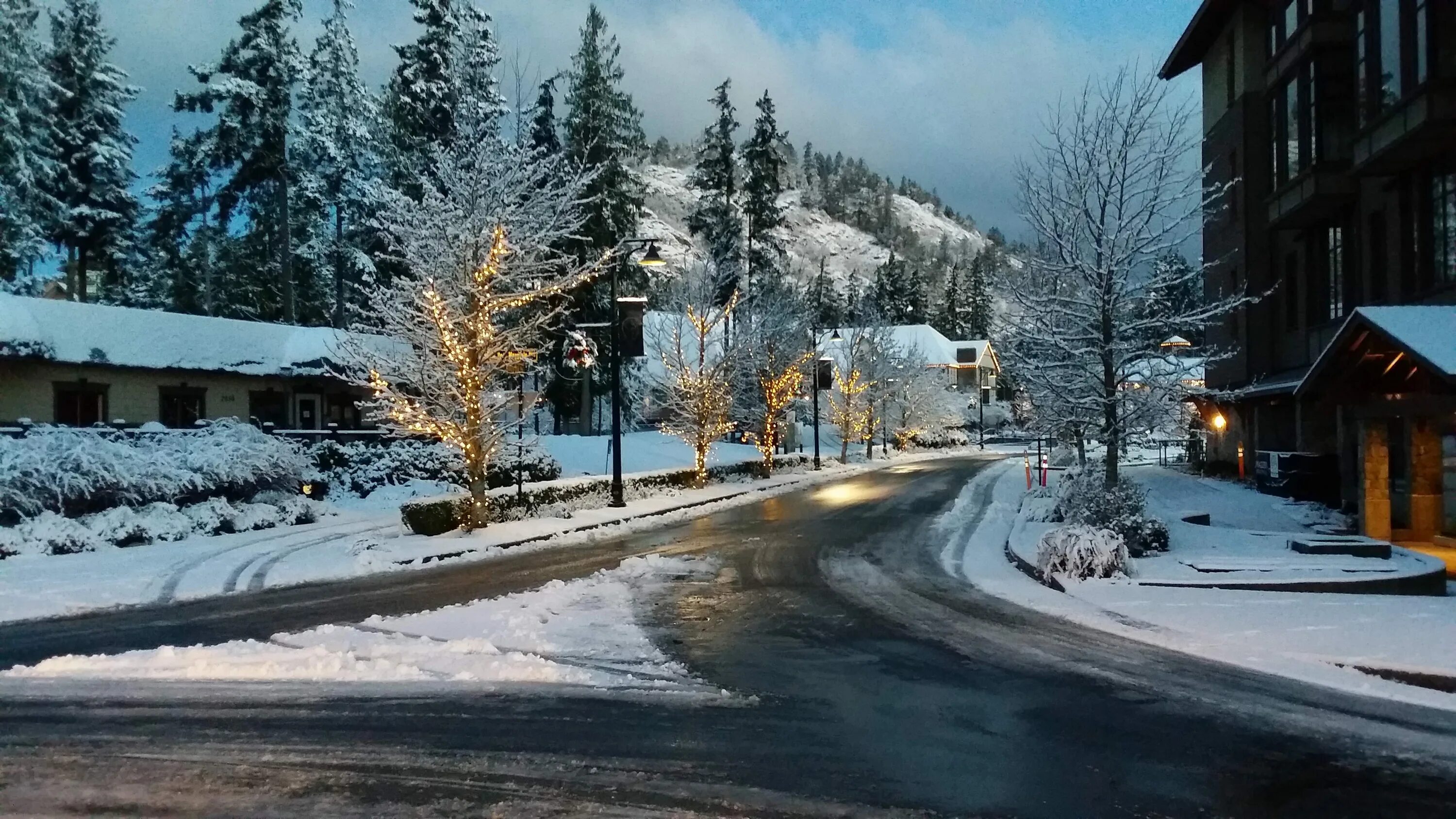 Снежные сугробы в городе. Snowy weather. Getting snow. Зеленые растения под снегом. Девушка зимой.