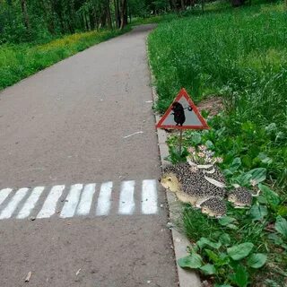 Подслушано дубна тульская