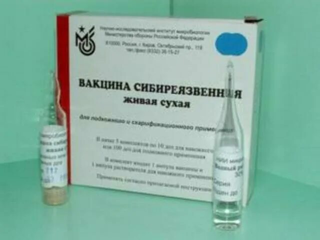 Вакцина живая против сибирской язвы. Вакцина Живая из штамма "55-ВНИИВВИМ" против сибирской язвы. Вакцина сибиреязвенная сти Живая сухая. Сибирская язва вакцина 55 ВНИИВВИМ. Сибирская язва сухая вакцина.