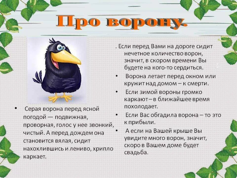 Текст про птиц 5 класс. Стих про ворону. Стихи о воронах для детей. Стихотворение про вороны. Стих про ворону для малышей.