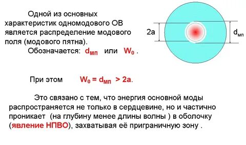 Длина ов
