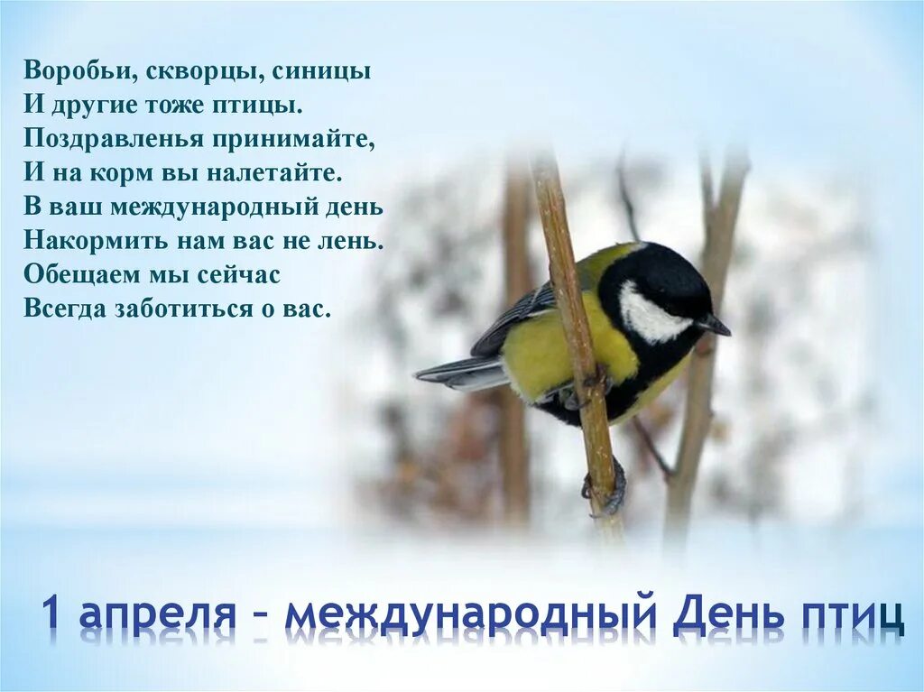 День птиц в детском саду презентация. Международный день птиц. 1 Апреля Международный день птиц. С днем птиц поздравления. Международный день птиц поздравления.