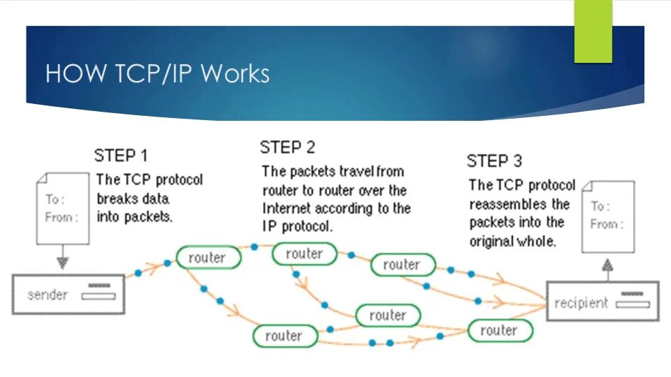 Tcp. TCP протокол. IP-протокол. TCP/IP Protocol. TCP IP для чайников.