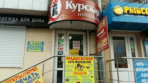 Круглосуточные магазины курск