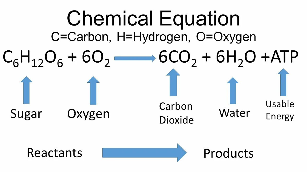 Cellular respiration equation. Oxygen Carbon dioxide. Chemical equations. Оксигена и карбона. Глюкоза углерод вода