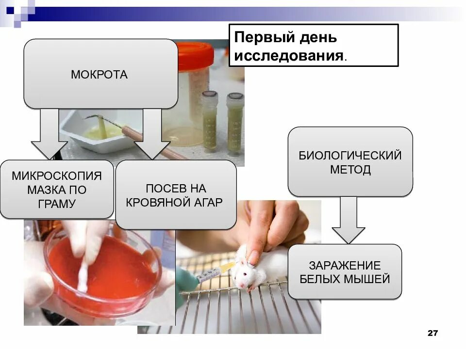 Обследование одного дня