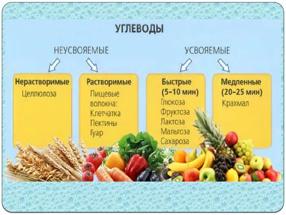 Углеводы к какой группе относится. Углеводы в растительных продуктах. Питательные вещества углеводы. Продукты в которых много жиров и углеводов. Пища с углеводами и жирами.